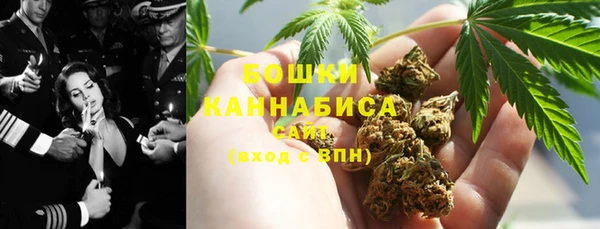 индика Алзамай