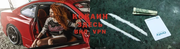 сатива Алексеевка