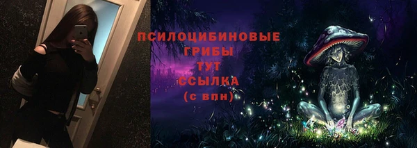 сатива Алексеевка