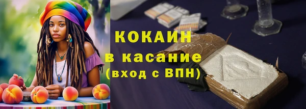 индика Алзамай