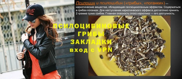 индика Алзамай
