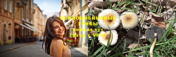 индика Алзамай