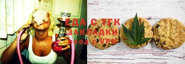 индика Алзамай