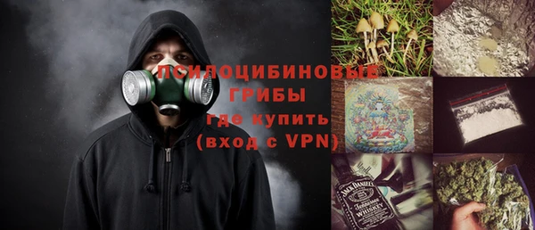 индика Алзамай