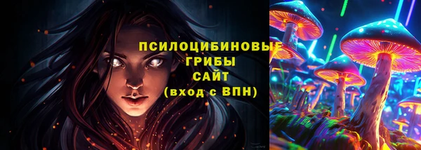 индика Алзамай