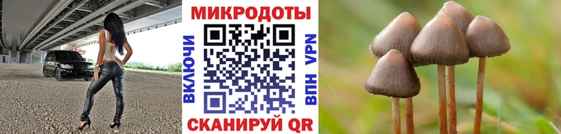 Галлюциногенные грибы ЛСД  закладки  Новошахтинск 